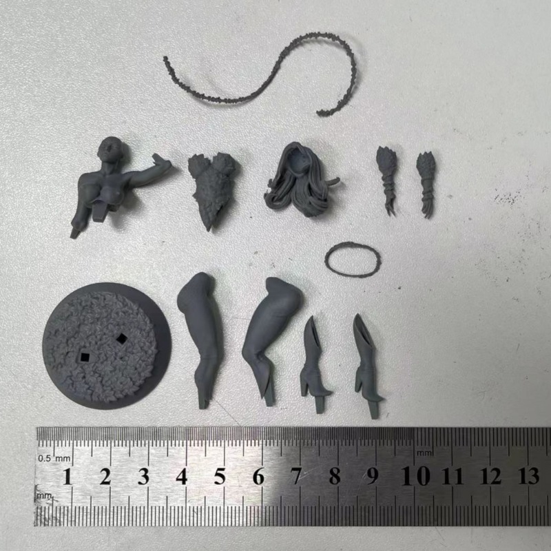 1/24 Scale Forest Queen Scienc - Science Hobby Kit 评论和价格