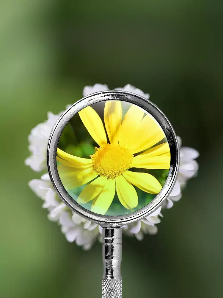 10X 20X Handheld Magnifying Gl - Science And Hobby 评论和价格
