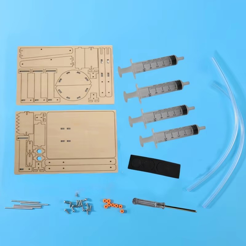 Fun STEM DIY Science Kit Woode - Science And Hobby 评论和价格