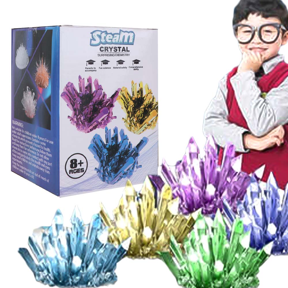 Grow a Crystal Crystal Growing - Science Project Diy 评论和价格