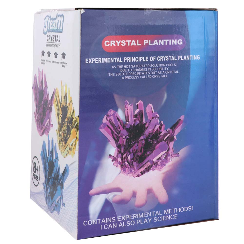 Grow a Crystal Crystal Growing - Science Project Diy 评论和价格