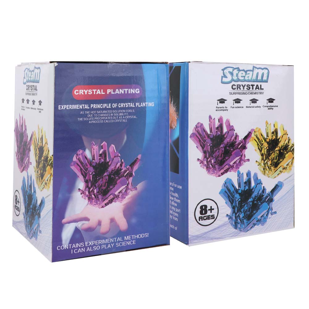 Grow a Crystal Crystal Growing - Science Project Diy 评论和价格