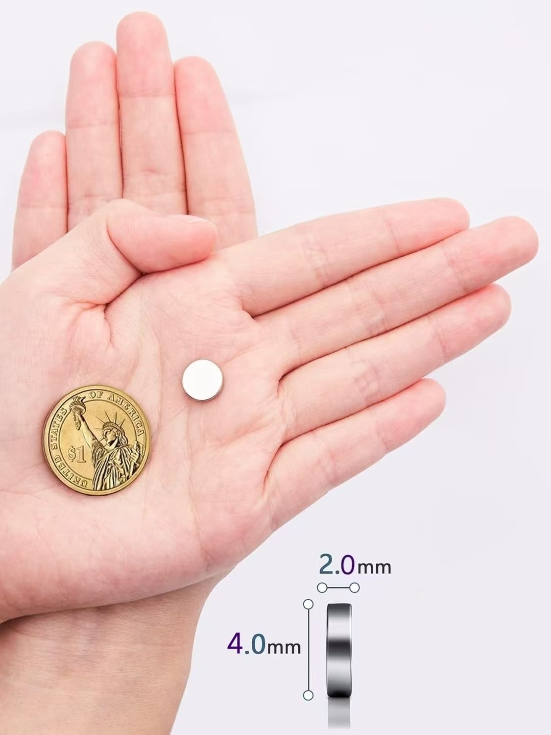 Strong Round Magnets for Fridg - Science Project Diy 评论和价格
