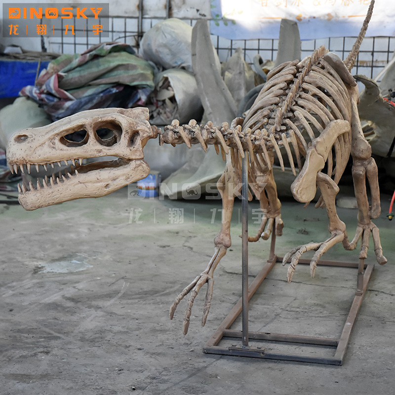 ATV&UTVResin Raptor Skeleton F - Science Exhibition Models 评论和价格